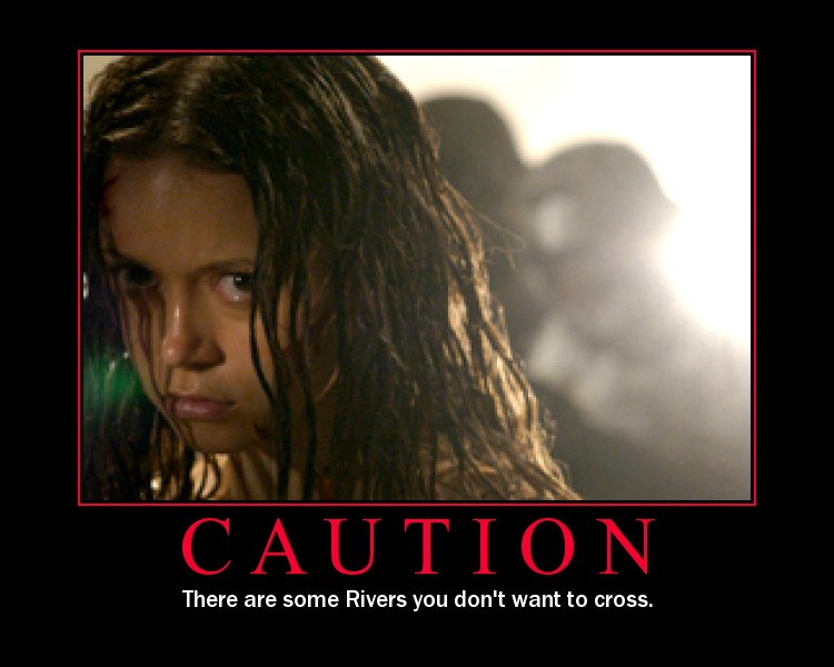 Firefly Motivational Poster