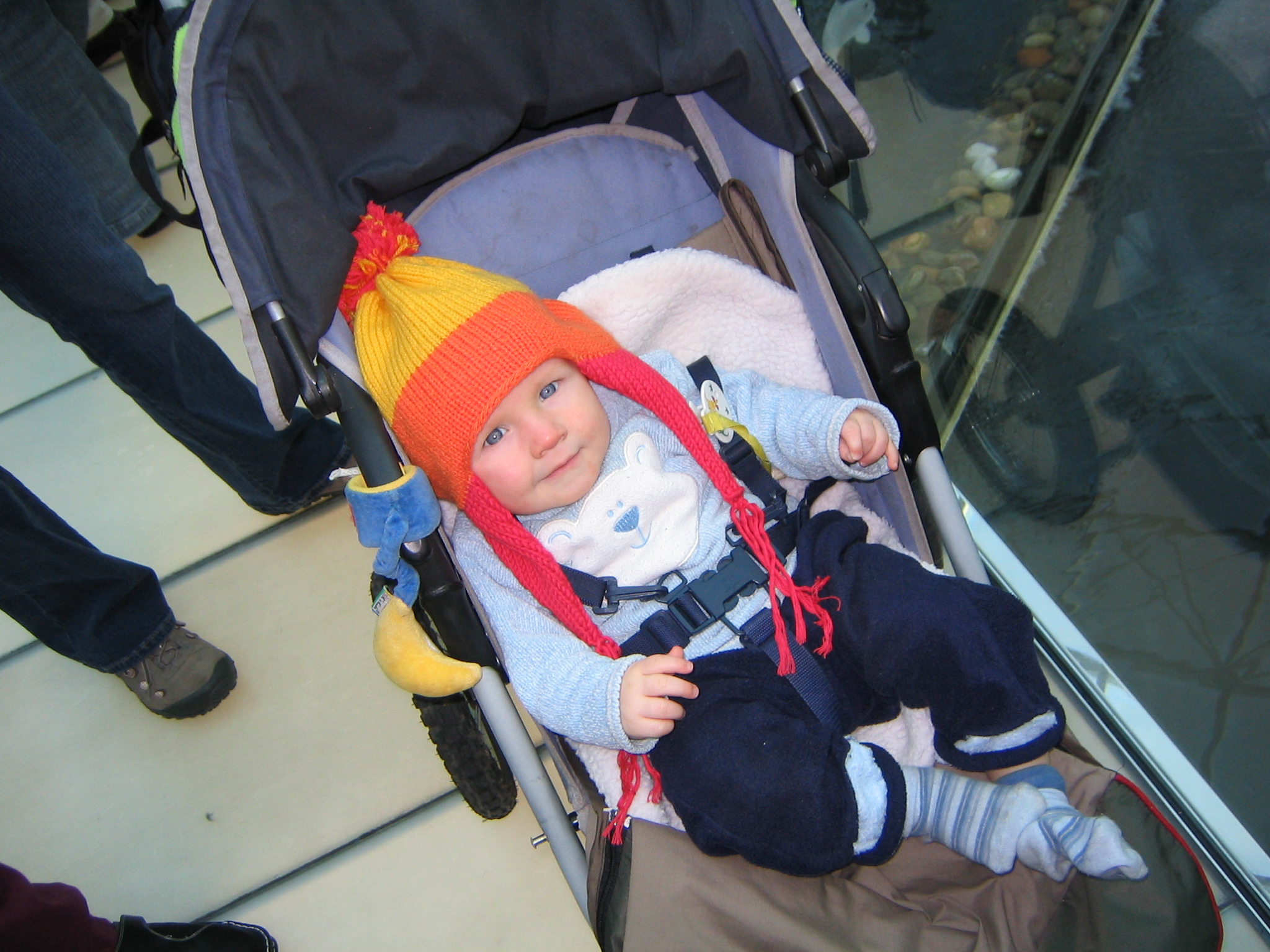 The future Jayne... cutest ever!